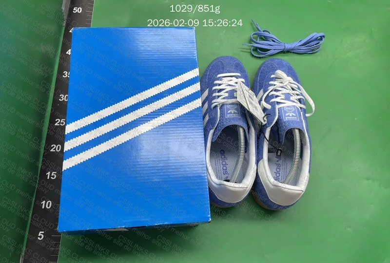 gazelle blue indoor 8