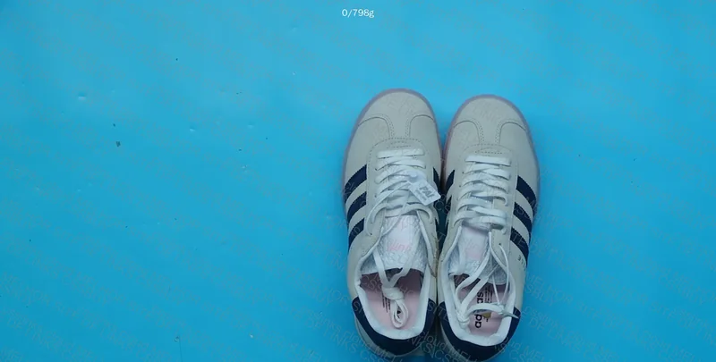 Gazelle Bold