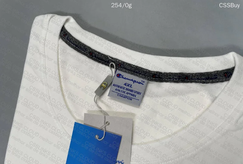 GL? Champion T-Shirt 29y (With Measurements)