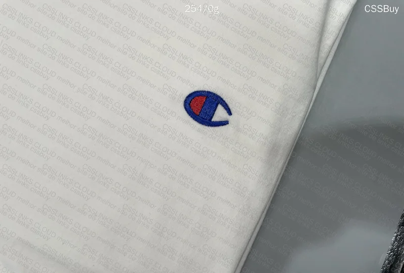 GL? Champion T-Shirt 29y (With Measurements) 2