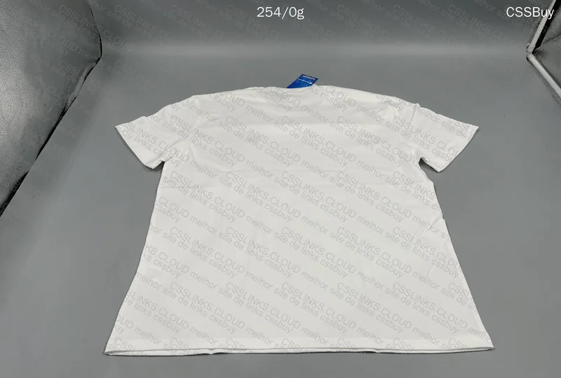 GL? Champion T-Shirt 29y (With Measurements) 4