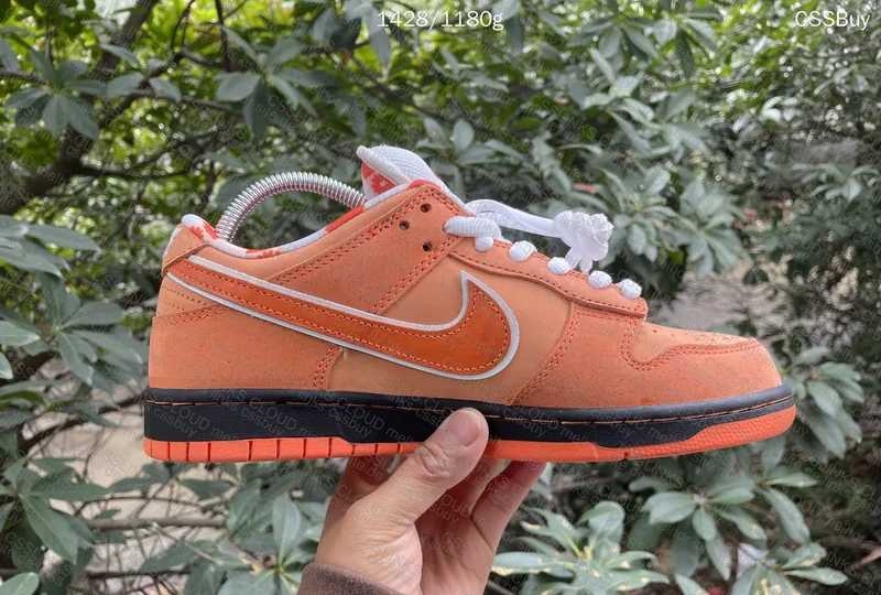 GL? Dunk Sb Orange Lobster 2