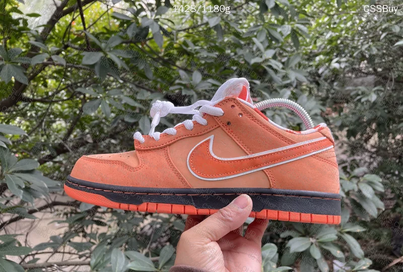GL? Dunk Sb Orange Lobster 5