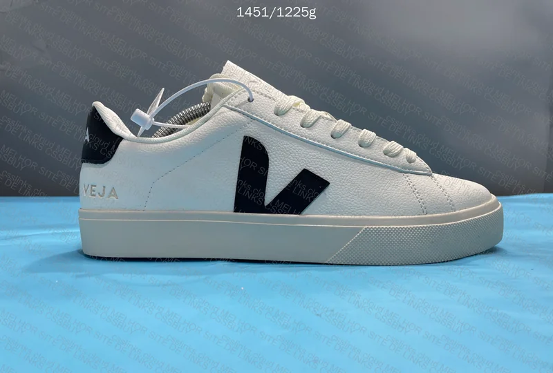 GL? Veja Sneakers 3