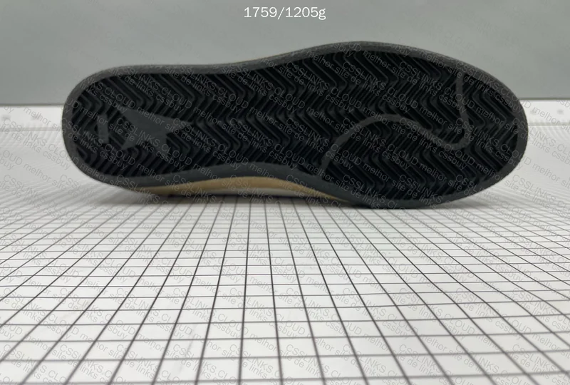 Golden goose 6