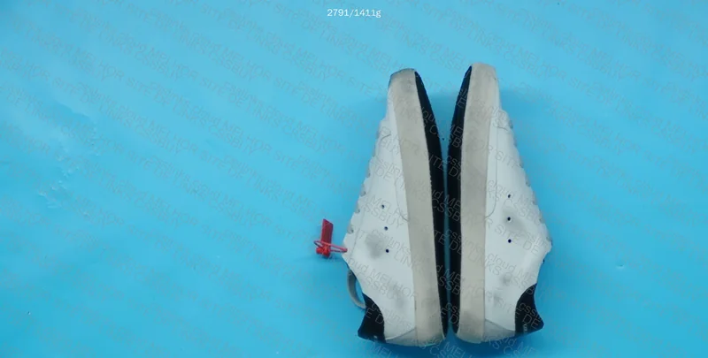 Golden goose 2