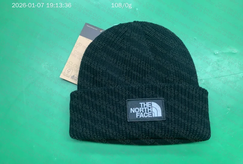 The North Face Beanie 2