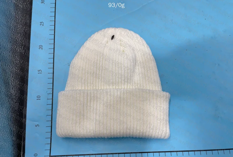 TNF The North Face Beanies