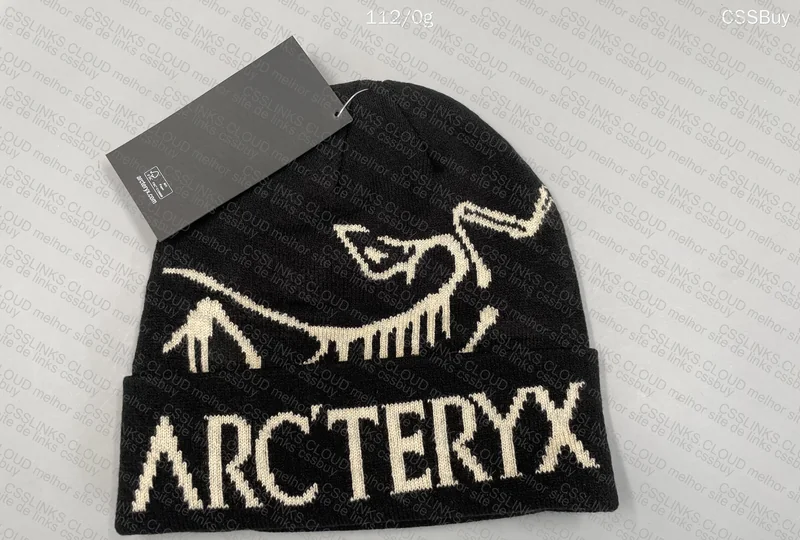 Arc'Teryx Beanie/Hat 2