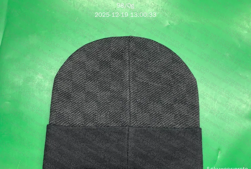 Louis Vuitton Beanie/Hat 4