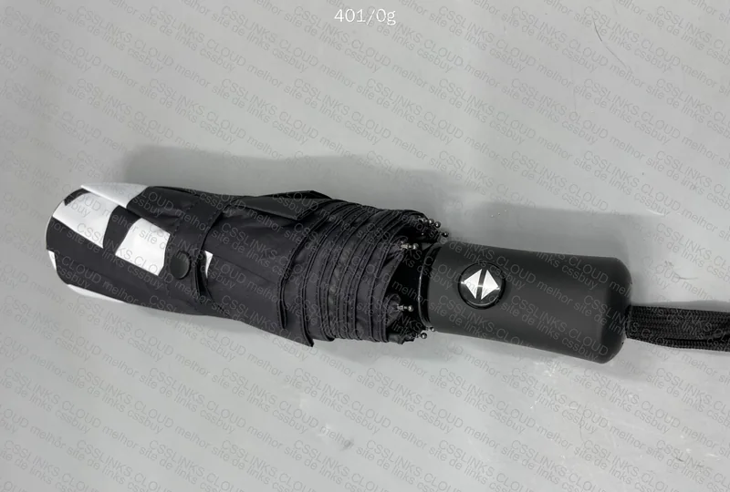 Stussy Umbrella 2