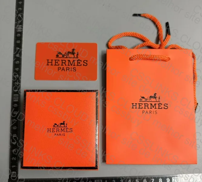 Hermès bracelet 2