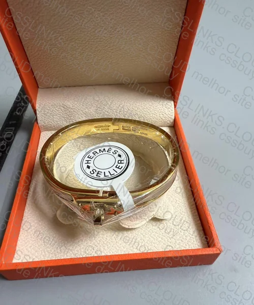 Hermès bracelet 6