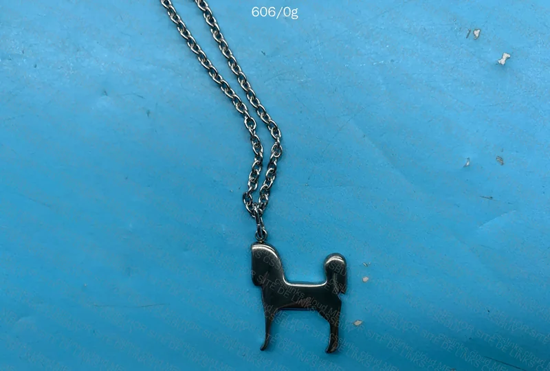 Hermès Panache Horse Necklace 4