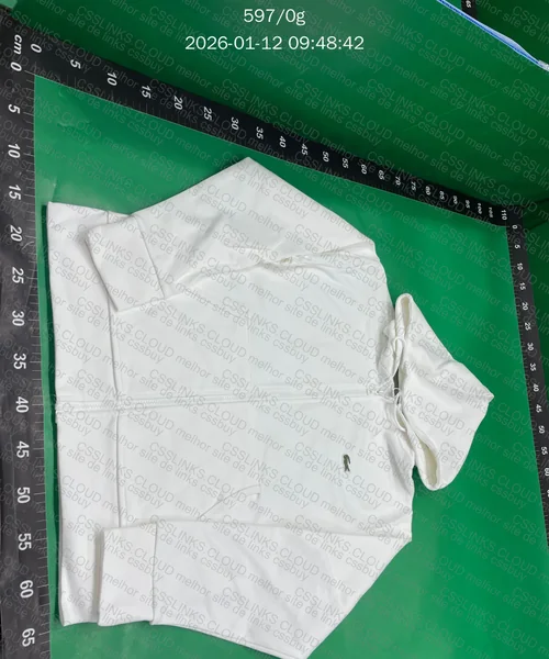 Hoodie lacoste 2