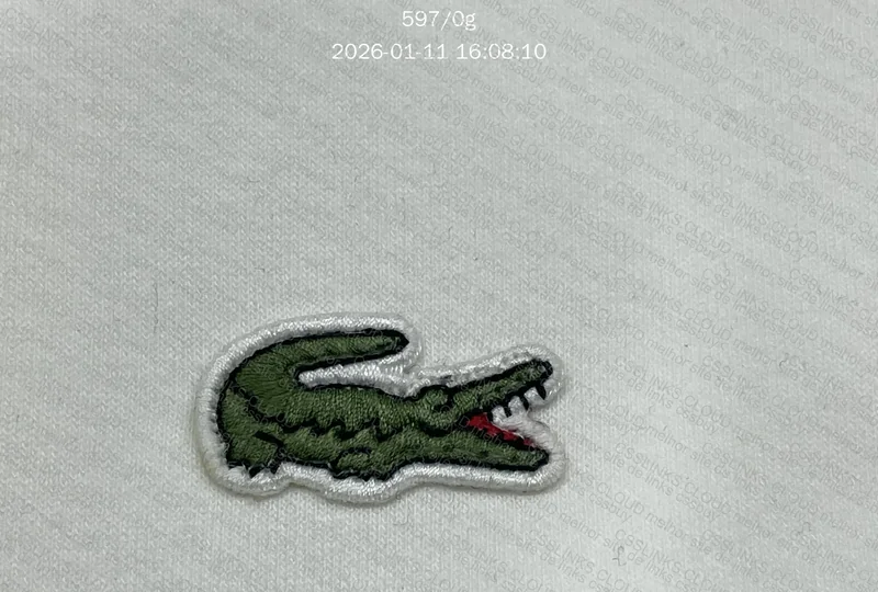 Hoodie lacoste 3