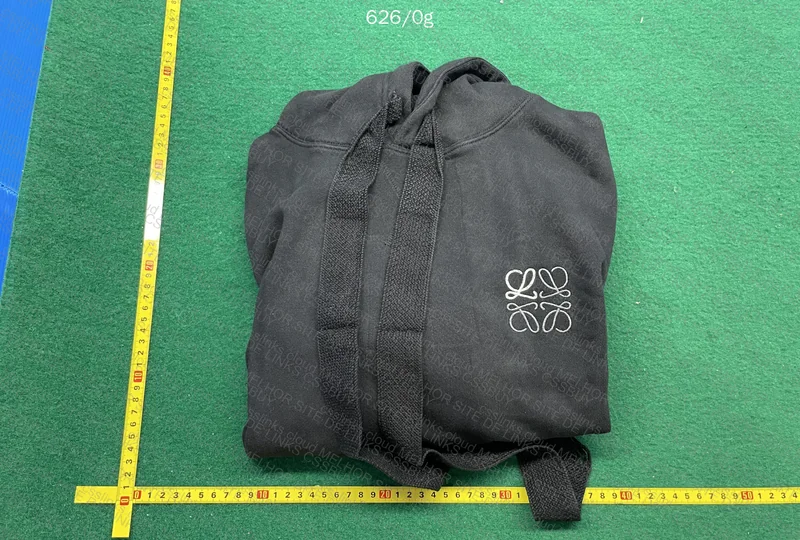 Hoodie Loewe