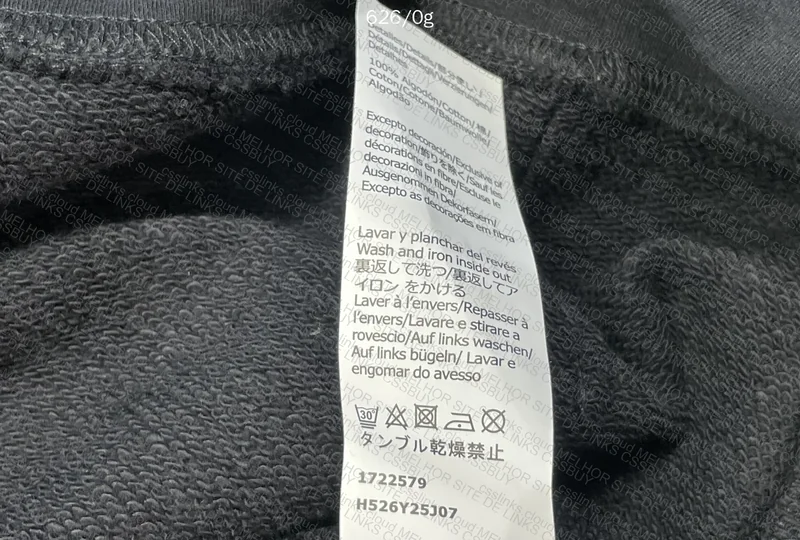 Hoodie Loewe 5