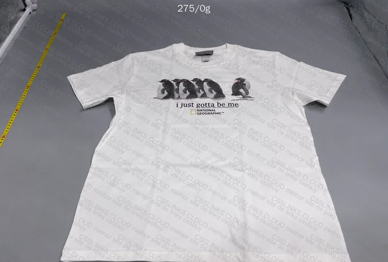 I Just Gotta Be Me (Penguins T-Shirt) 2