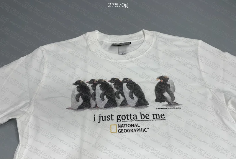 I Just Gotta Be Me (Penguins T-Shirt) 3