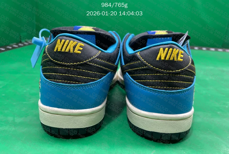 Instant Skateboards x Nike SB Dunk 5