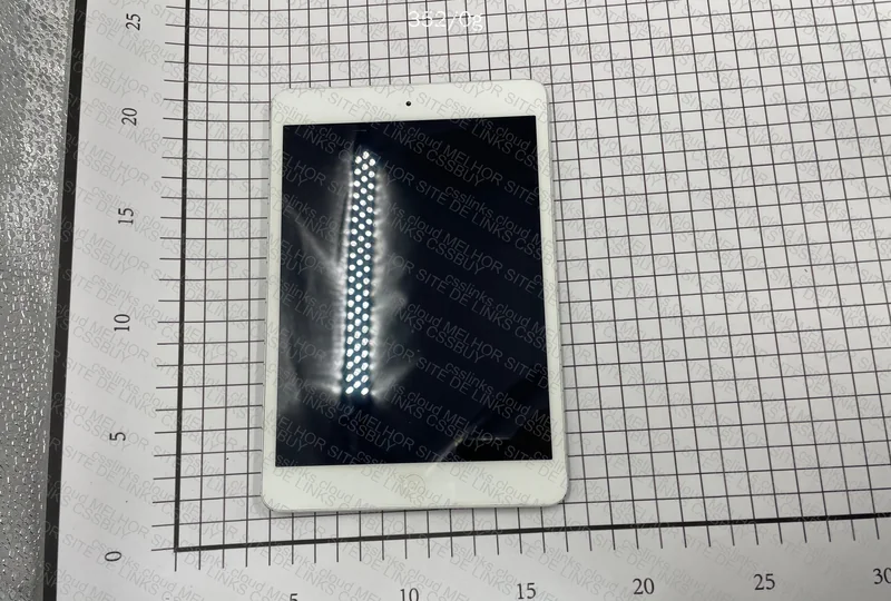 iPad mini 2
