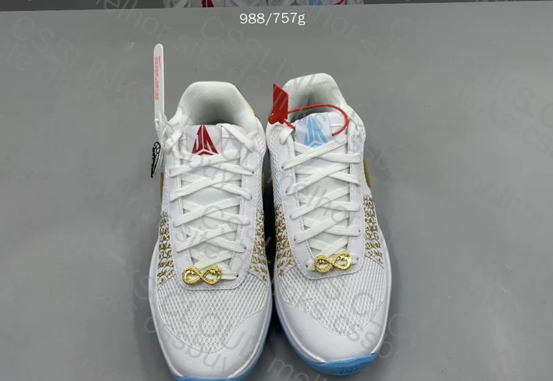 Ja 1 chinese year