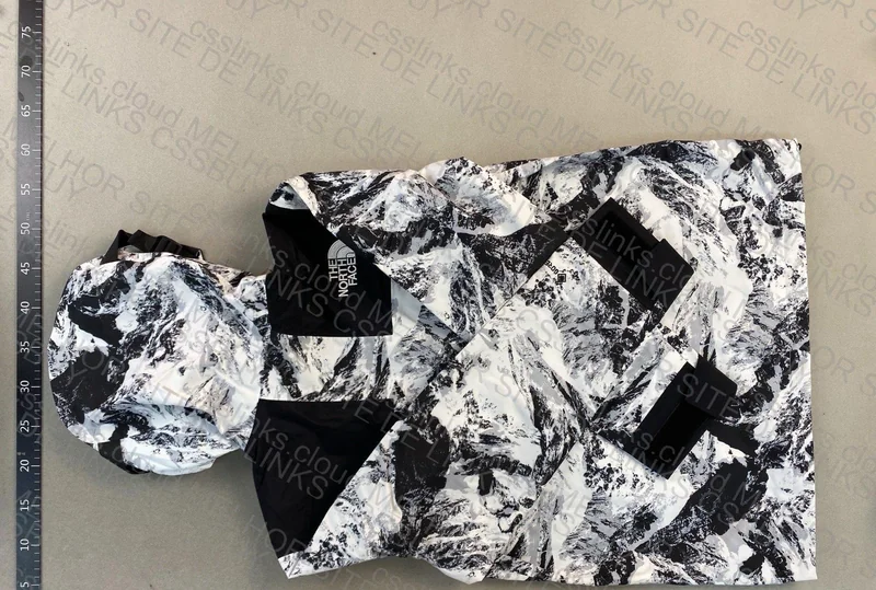 The North Face Jacket