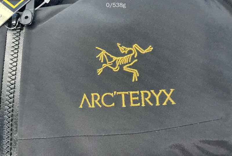Arc'teryx Alpha SV Jacket 2