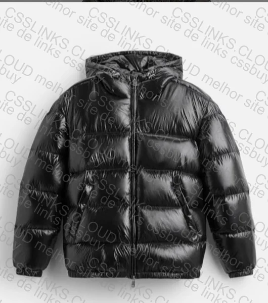 Zara Style Jacket (Help)
