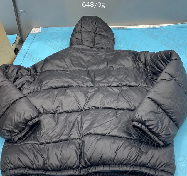 Zara Style Jacket (Help) 3