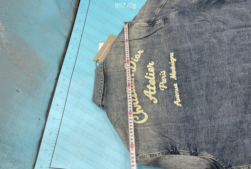 Dior Denim Jacket 5