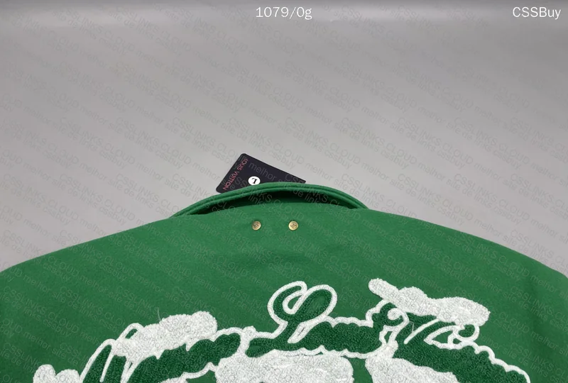 Louis Vuitton LV Jacket 3
