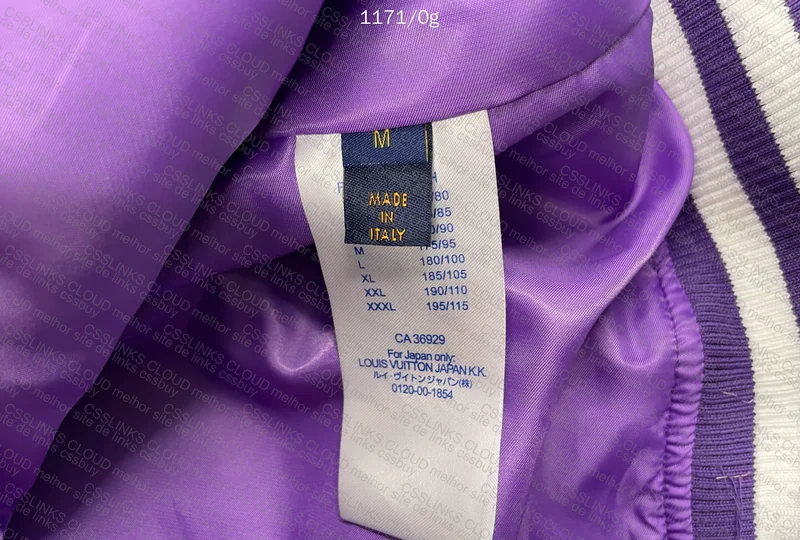 Luis Vuitton Jacket, GL? 6