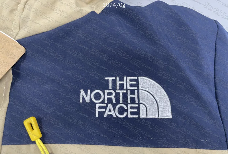 North Face Jacket 2
