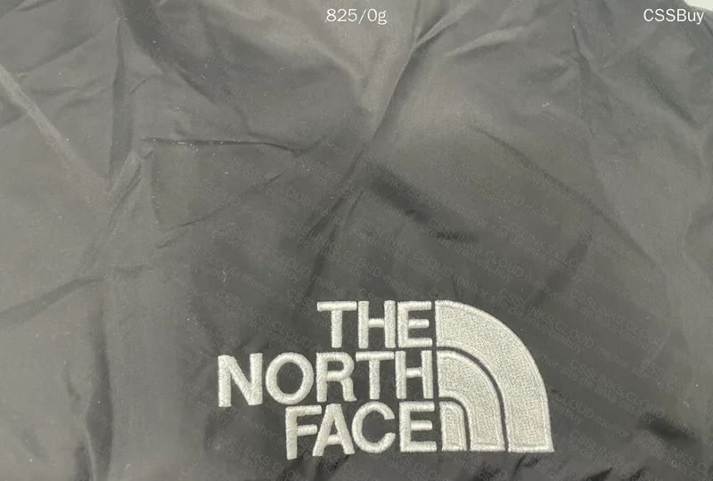 The North Face Nuptse 700 Puffer Jacket - Husky 9