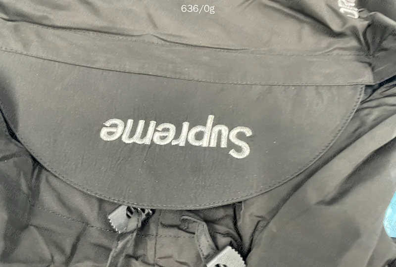 Supreme x TNF x GORETEX Jacket 4