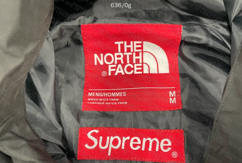 Supreme x TNF x GORETEX Jacket 5
