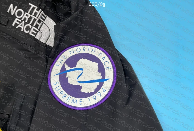 Supreme x TNF x GORETEX Jacket 6