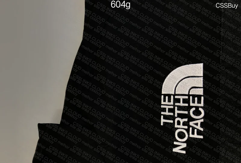 The North Face Jacket 10