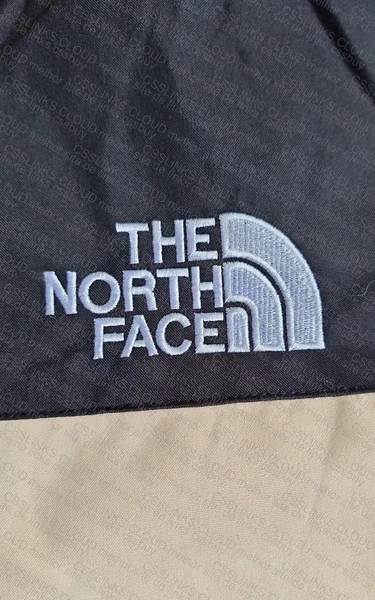 The North Face Jacket 2