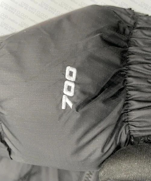 The North Face Jacket 3