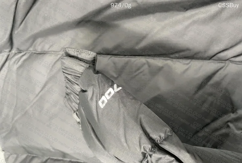 The North Face Jacket 3