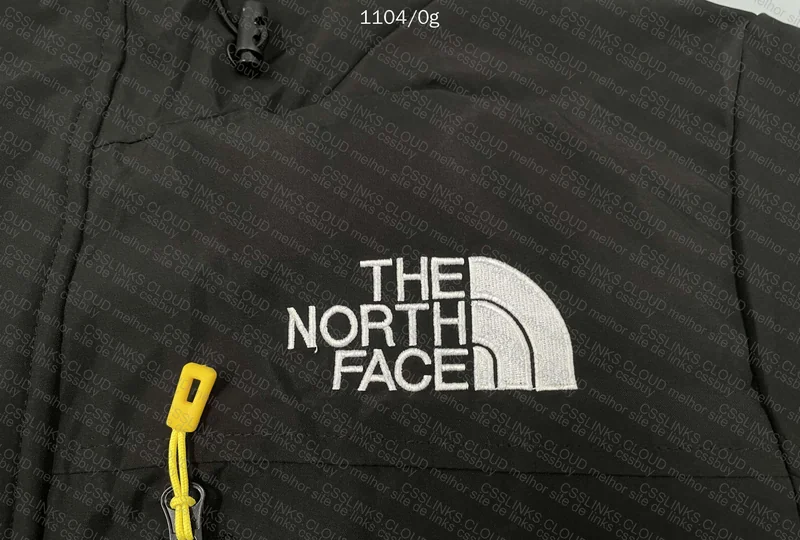 The North Face Jacket 2