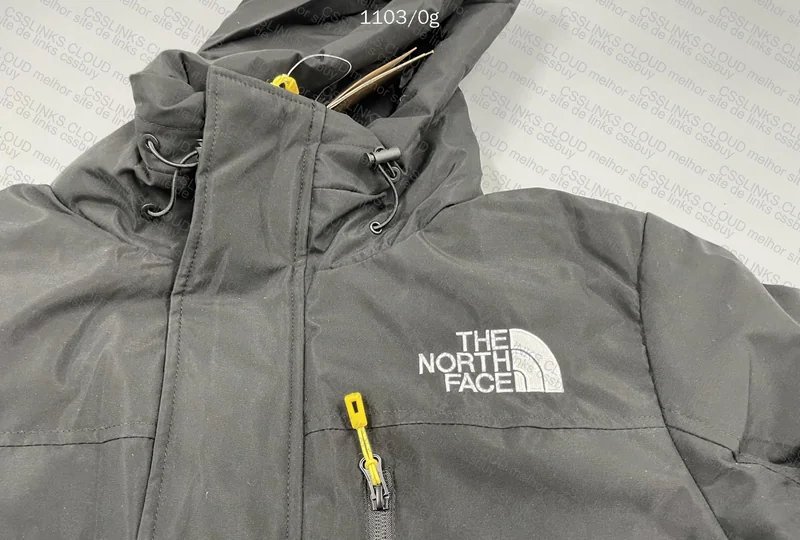 The North Face Jacket 2
