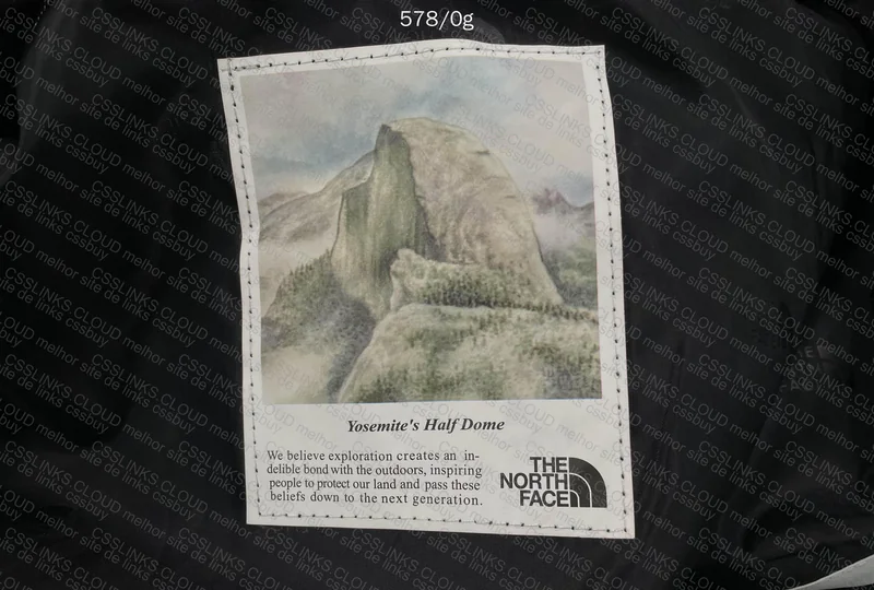 The North Face Jacket 6