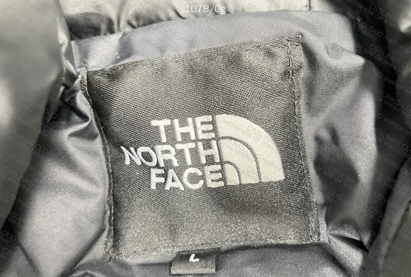 The North Face Jacket 2