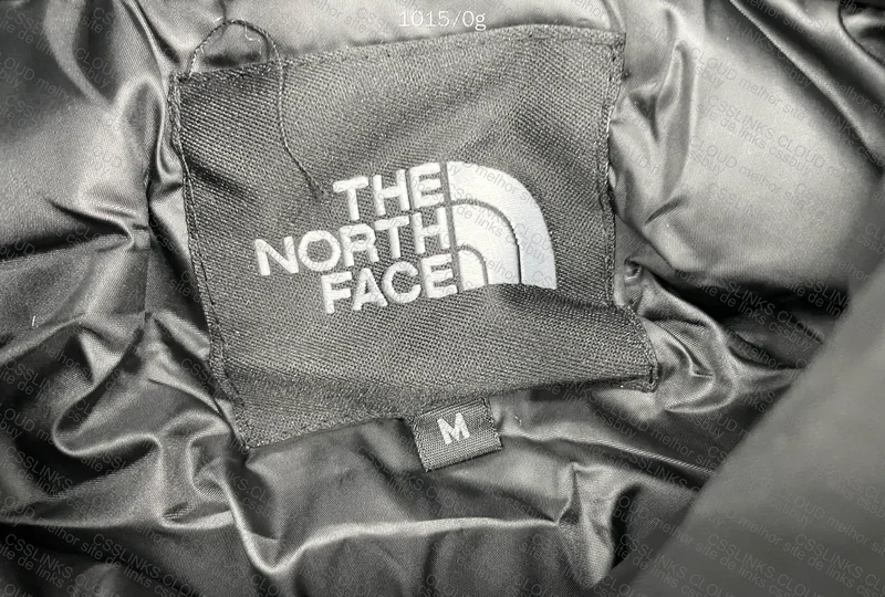 The North Face Jacket 2