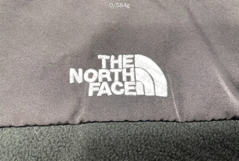 The North Face Jacket
