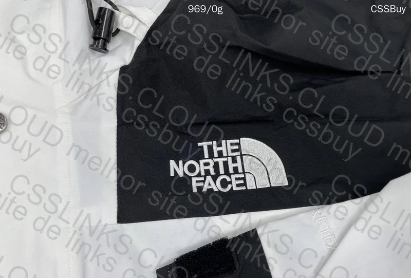 The North Face Jacket (help)
